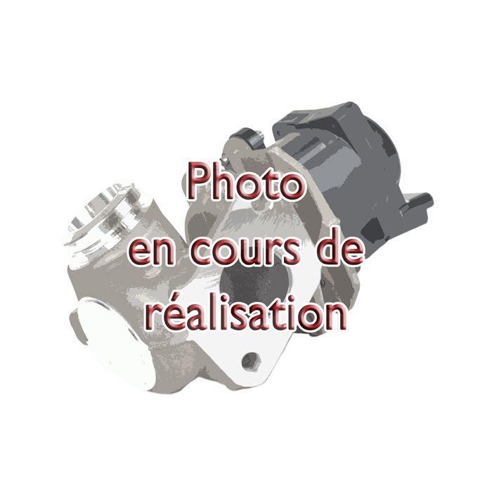 Boitier papillon Renault Master Trafic Opel Movano Vivaro Nissan Qashqai Primastar 2.0 2.3 dci 150 163 cv 8200987453 VALEO neuf